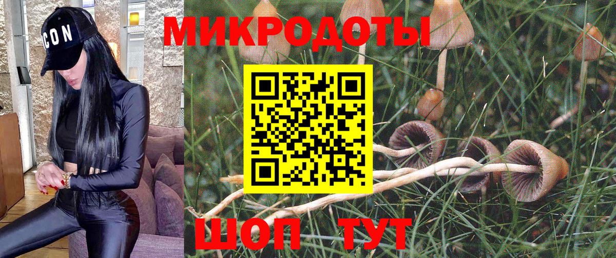 Псилоцибиновые грибы мицелий  цены наркотик  Клинцы  Вход с VPN 